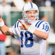 Image for article titled Colts Tap Quarterback Peyton Manning To Start Playoff Game